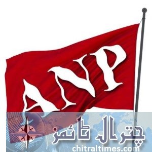 anp flag