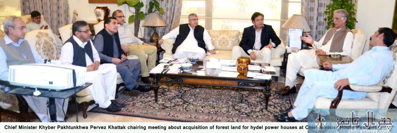 cm metting of forest