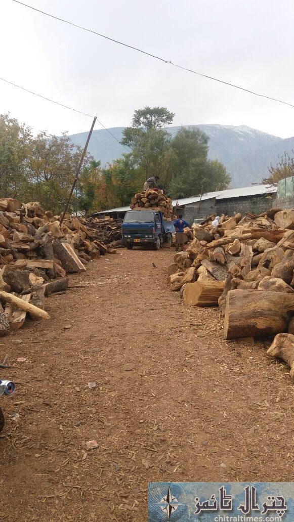 wood stock chitral