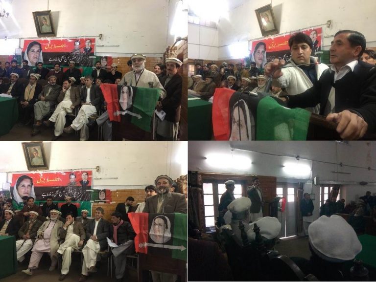 Banazir bhutto barsi chitral