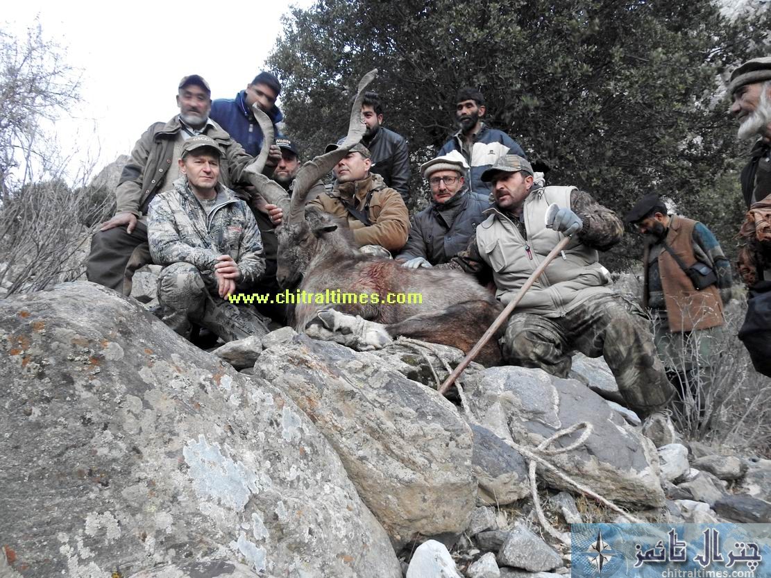 chitral trophy hunting of Markhor of 11 million