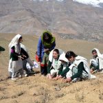 Qaqlasht plantation chitral for dawn23