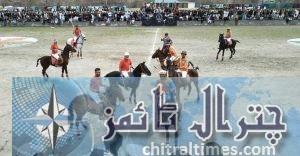 chitral polo