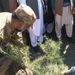 shajar kari gdc chitral 1