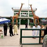 Peshawar zoo chilya ghar kp govt 3