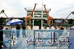 Peshawar zoo chilya ghar kp govt 3