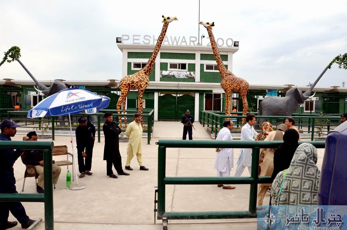 Peshawar zoo chilya ghar kp govt 3