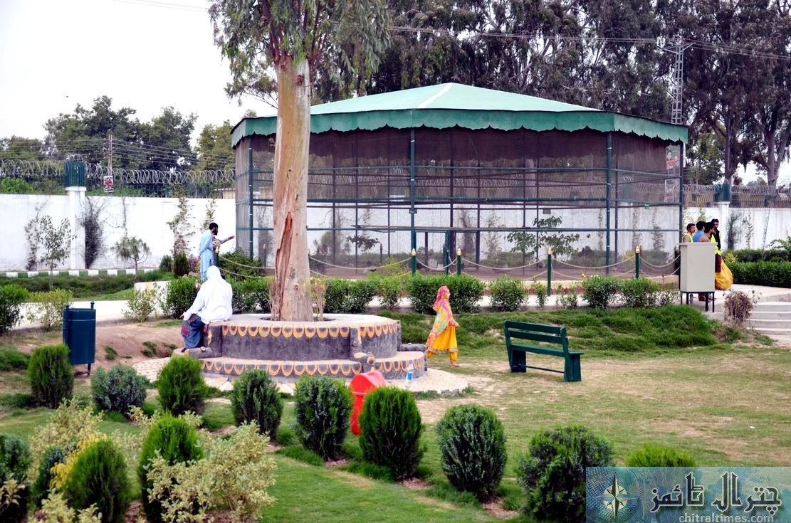 Peshawar zoo chilya ghar kp govt 8