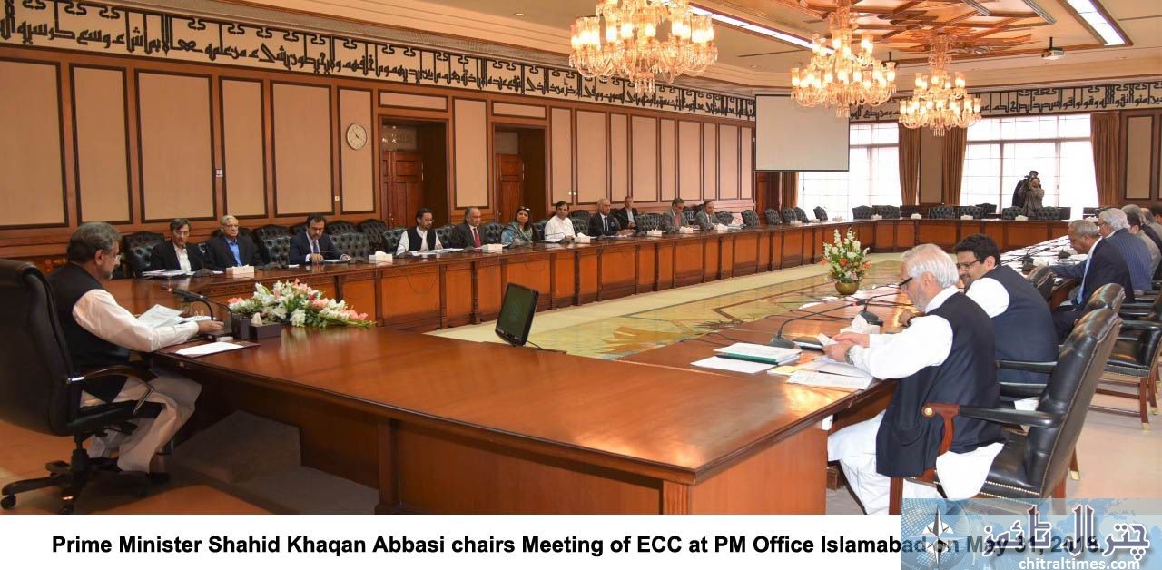 Pm Abbasi chaired ECC Meeting