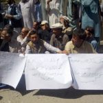 billion tree tsnomi 1