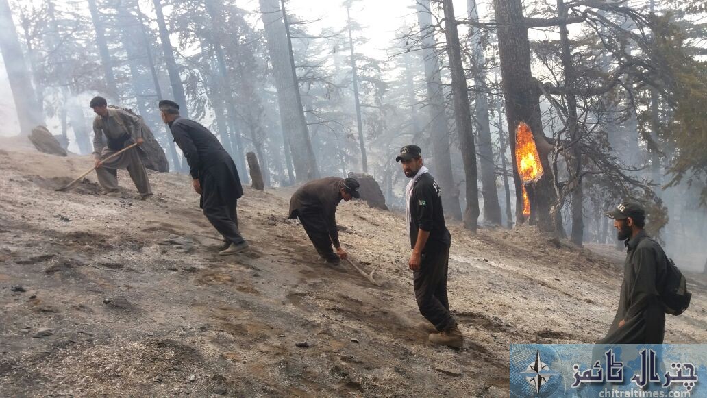 Forest fire chitral 3