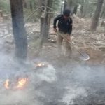 Forest fire chitral 5