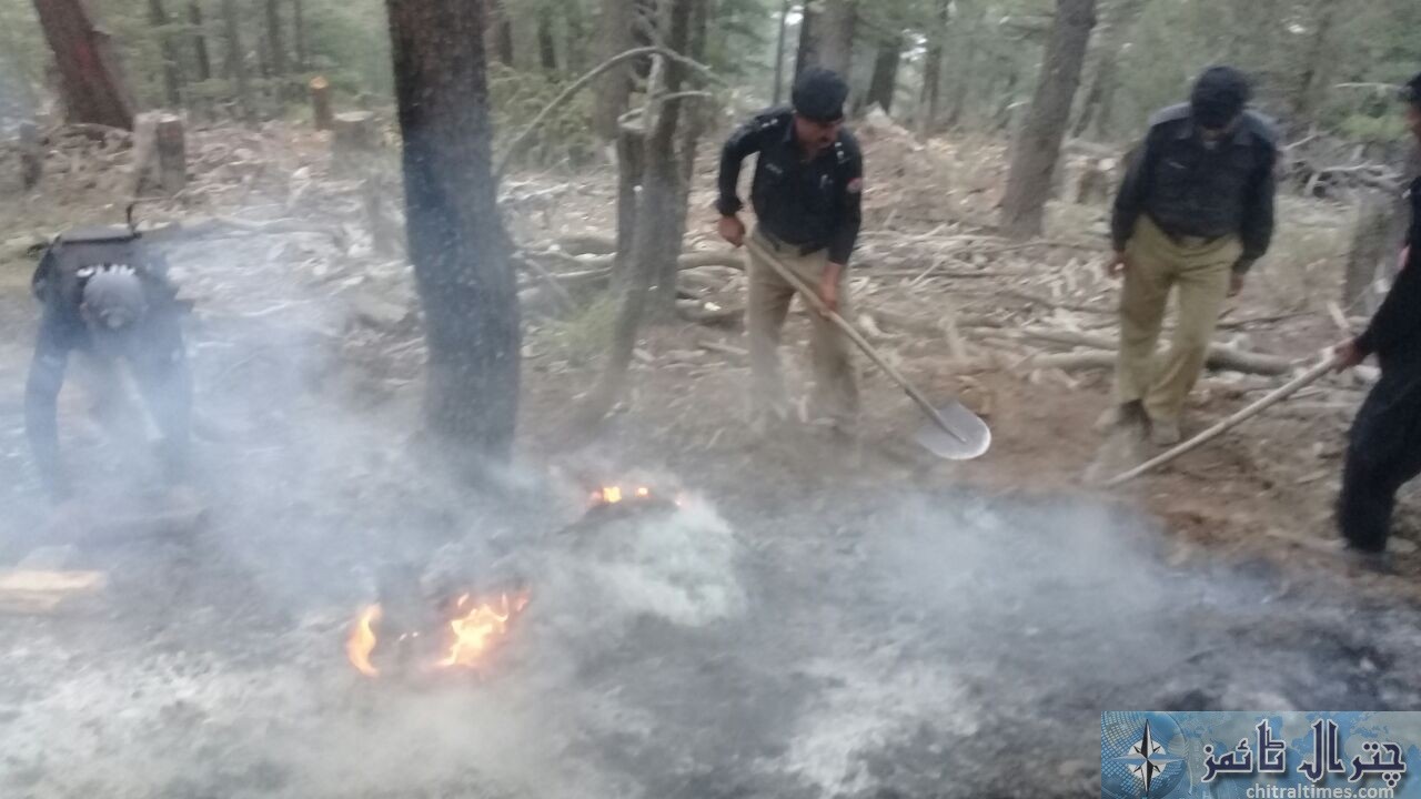 Forest fire chitral 5