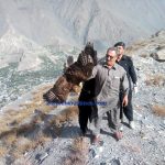 eagle freed by wildlife chitral