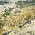 morilasht chitral water shortage 3