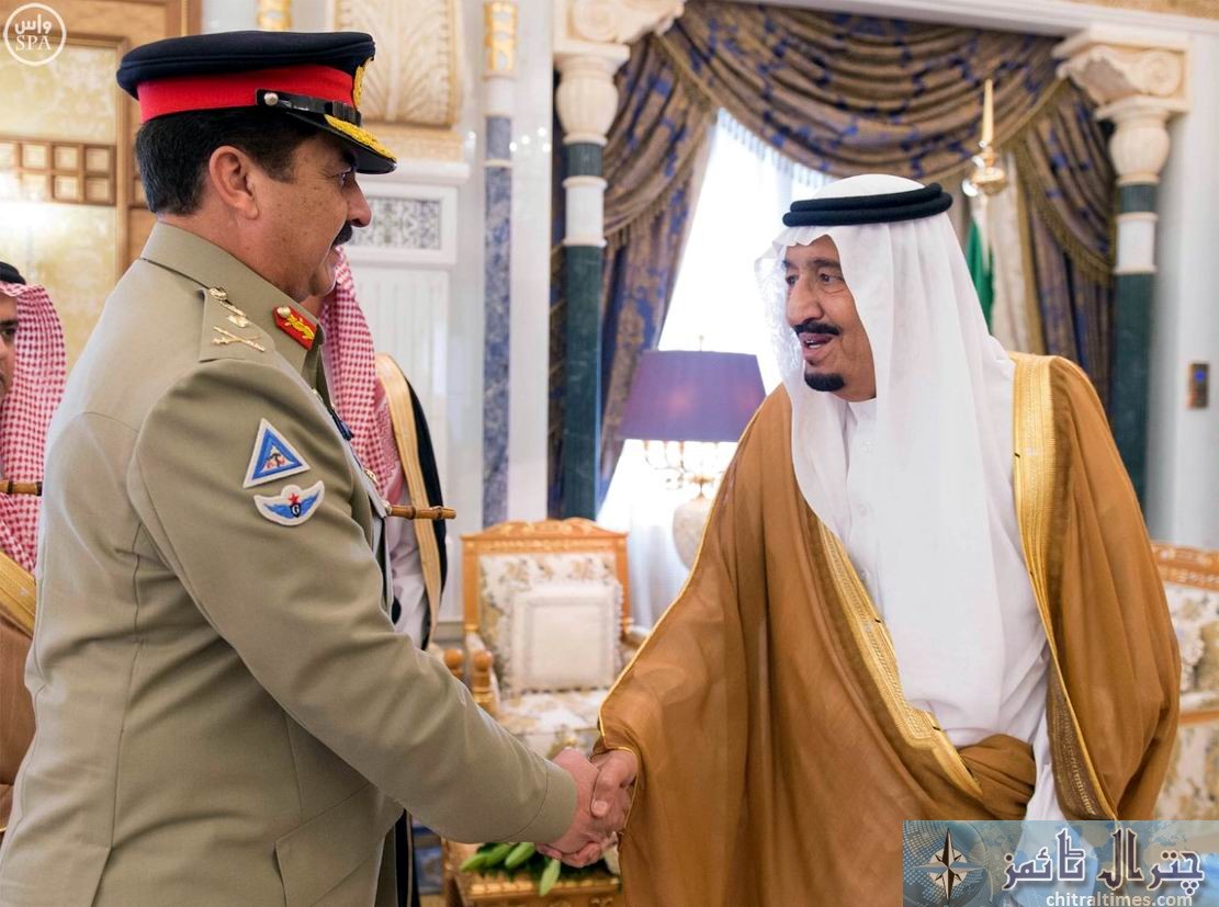 Army chief met saudi king