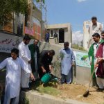 akhss chitral plantaion21