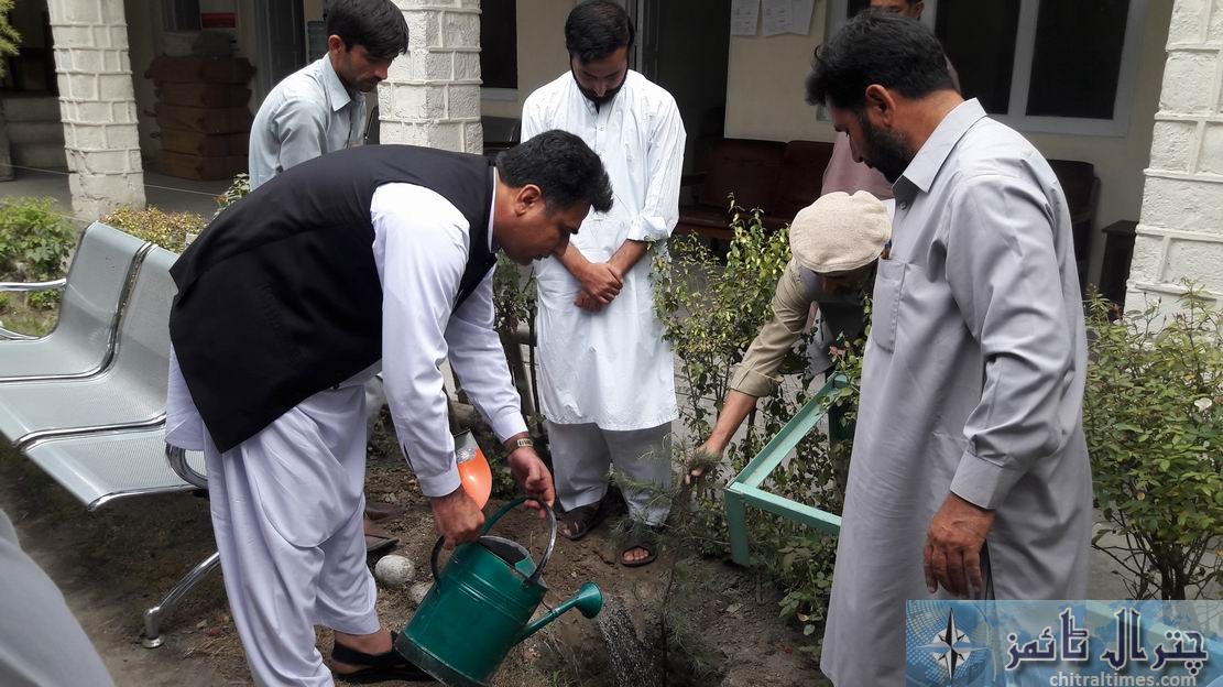 district courts chitral plantation22