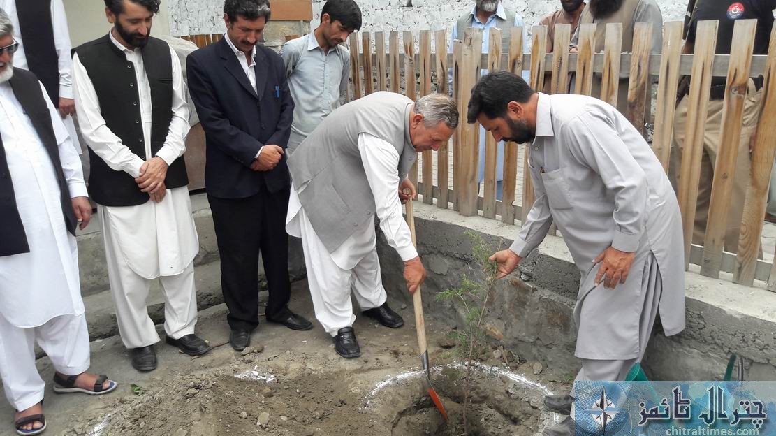 district courts chitral plantation23