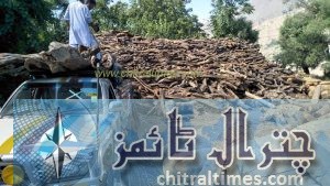 firewood stock chitral 1