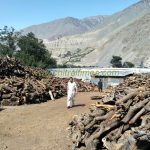 firewood stock chitral 2