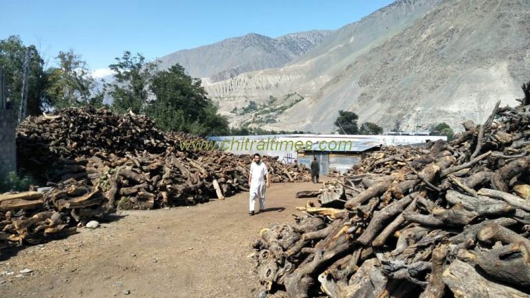 firewood stock chitral 2