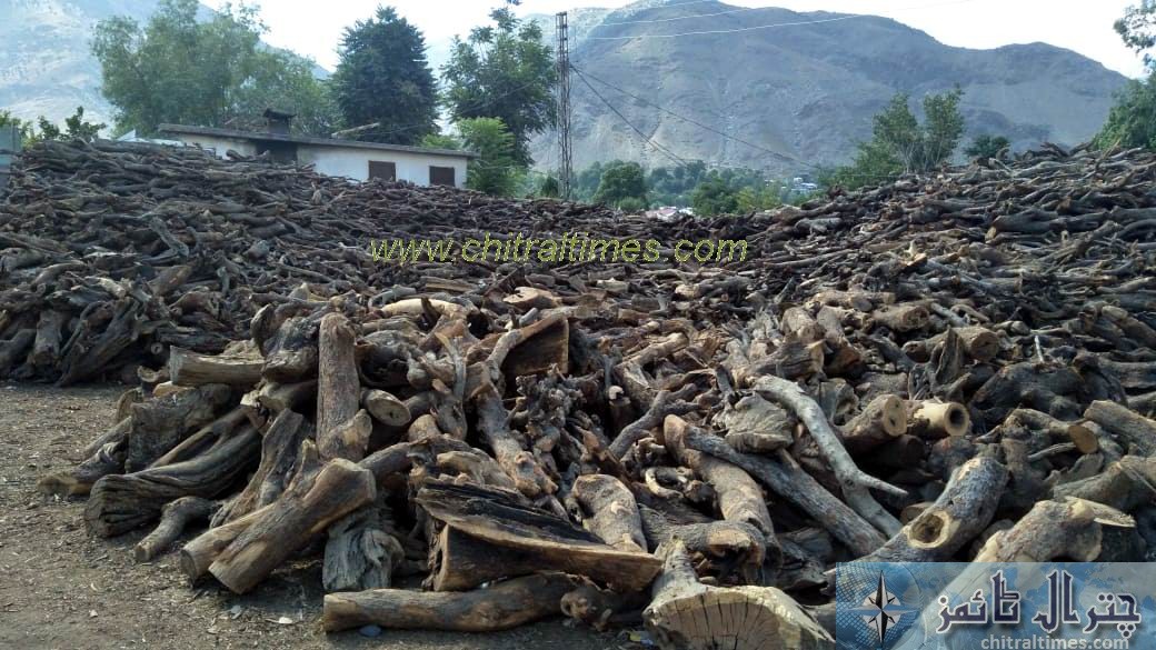 firewood stock chitral 3