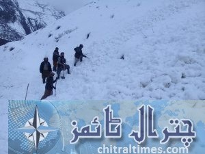 chitral weather terich2