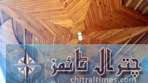 ayun artist zahir hussain wood crafts 11