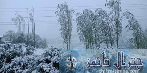 chitral weather 1