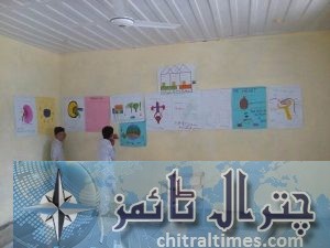 gms momi chitral