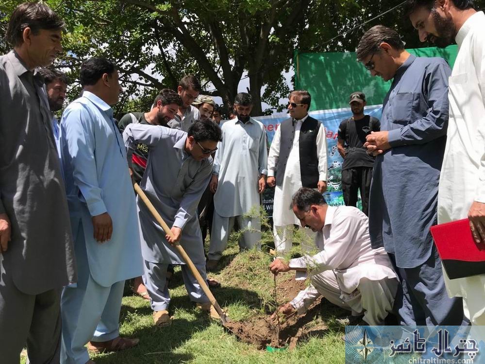plant for pakistan campaign upper Chitral 6