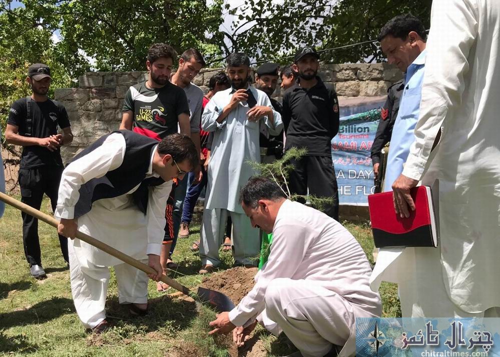 plant for pakistan campaign upper Chitral 8