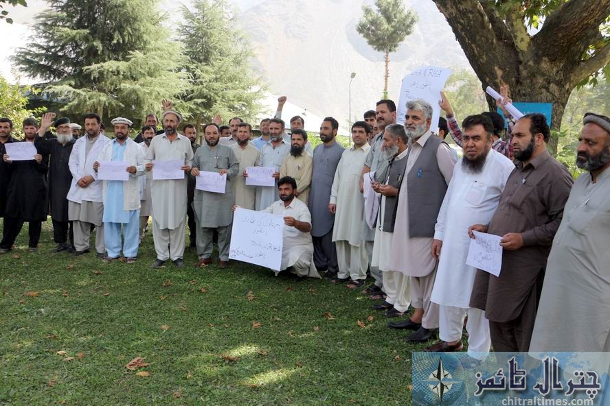chitral doctors protest against privatization of hospitals 1