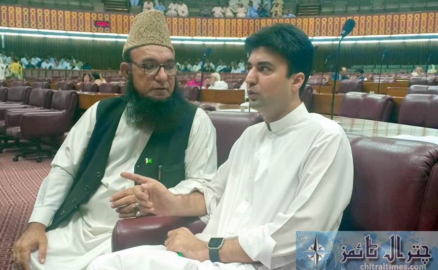 moulana chitrali with minister murad saeed