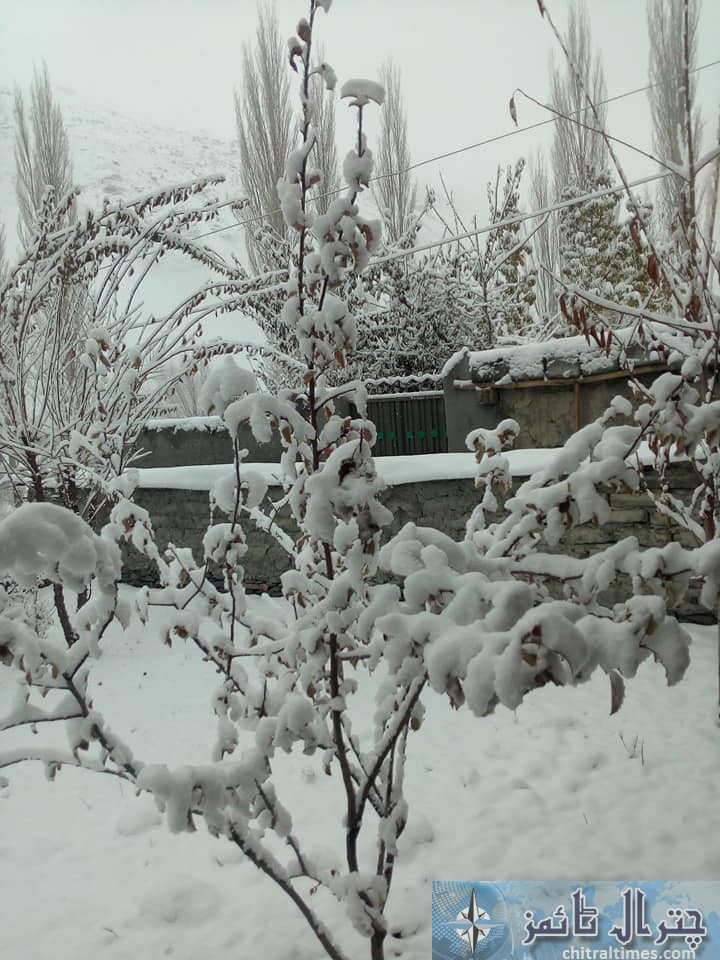 upper chitral terich snowfall