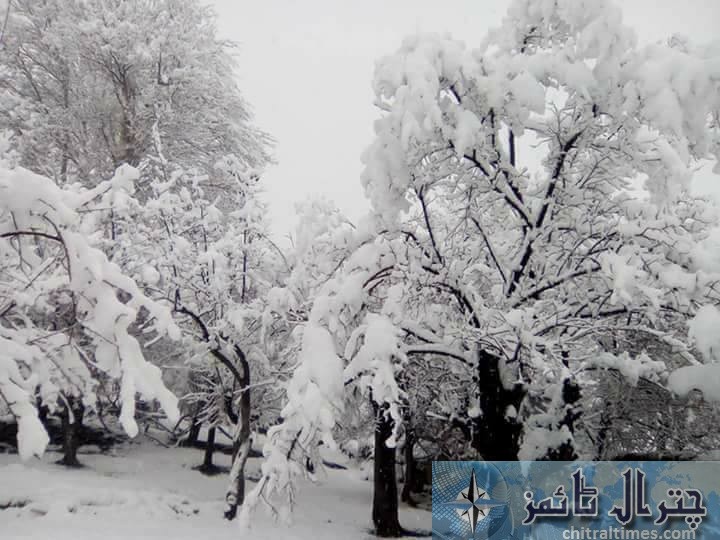 chitral snow
