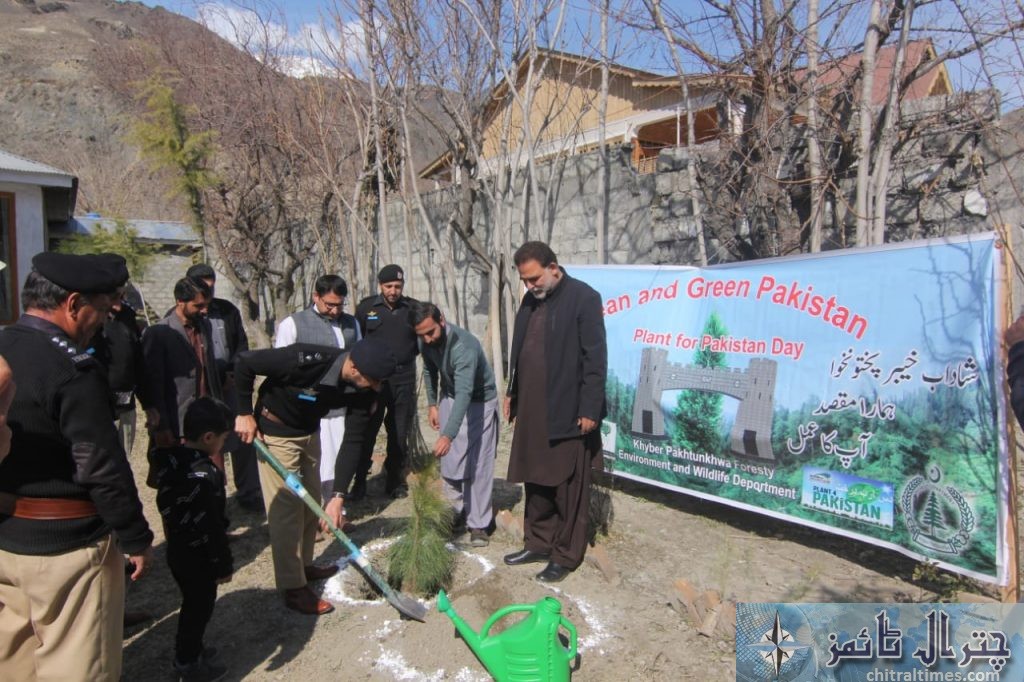 DPO Chitral office plantation campaign 1 scaled