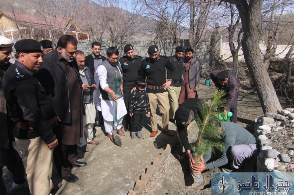 DPO Chitral office plantation campaign 2 scaled