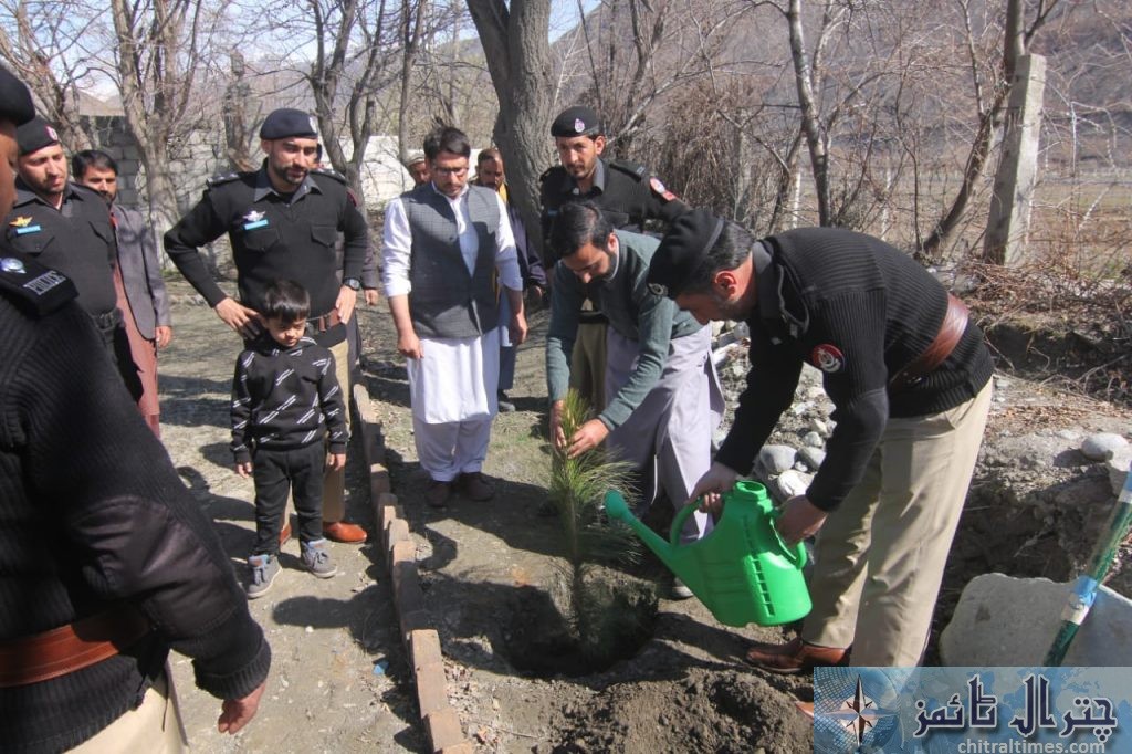 DPO Chitral office plantation campaign 3 scaled