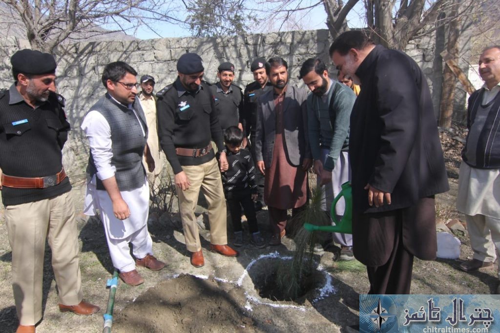 DPO Chitral office plantation campaign 4 scaled