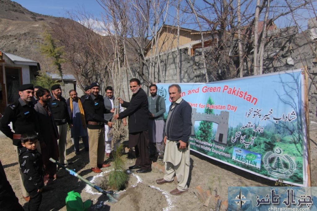 DPO Chitral office plantation campaign 7 scaled