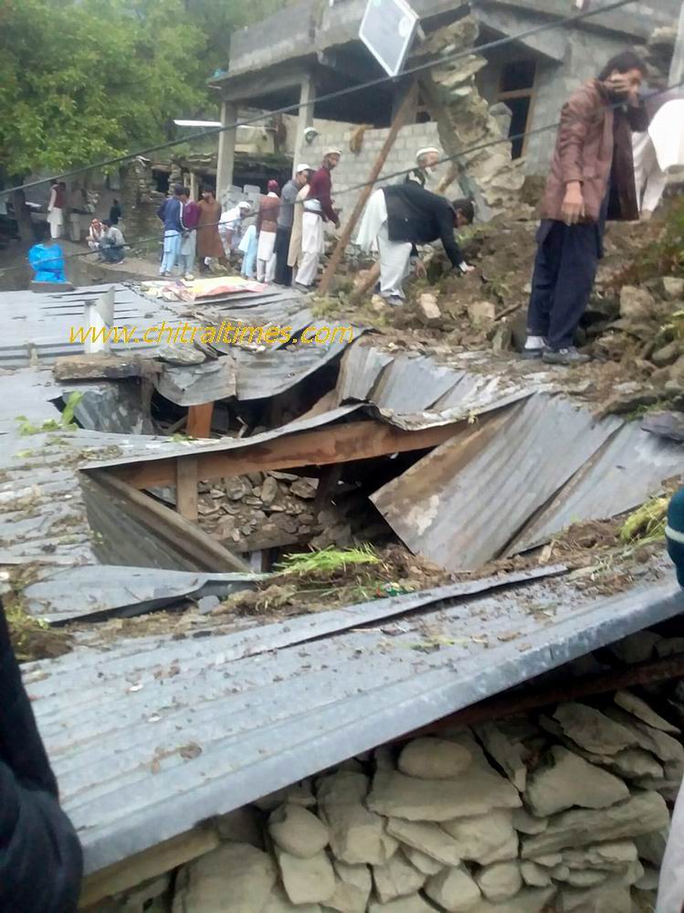 chitral rain damages 1 1