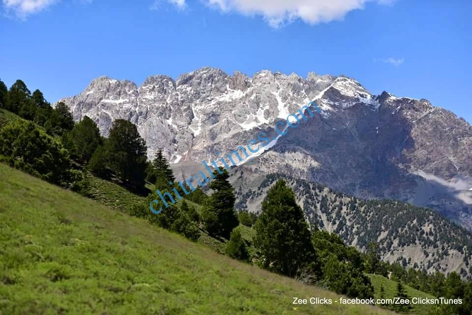 chitral gol national park2