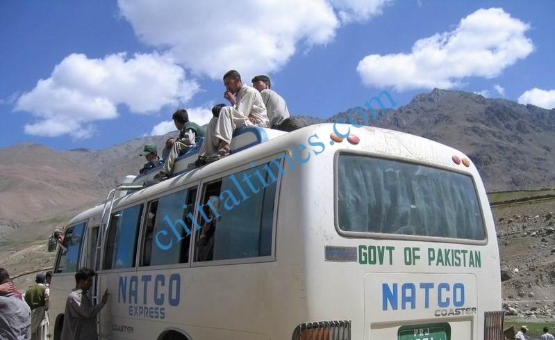 natco bus service glt to mastuj