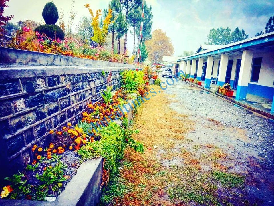 degree college chitral