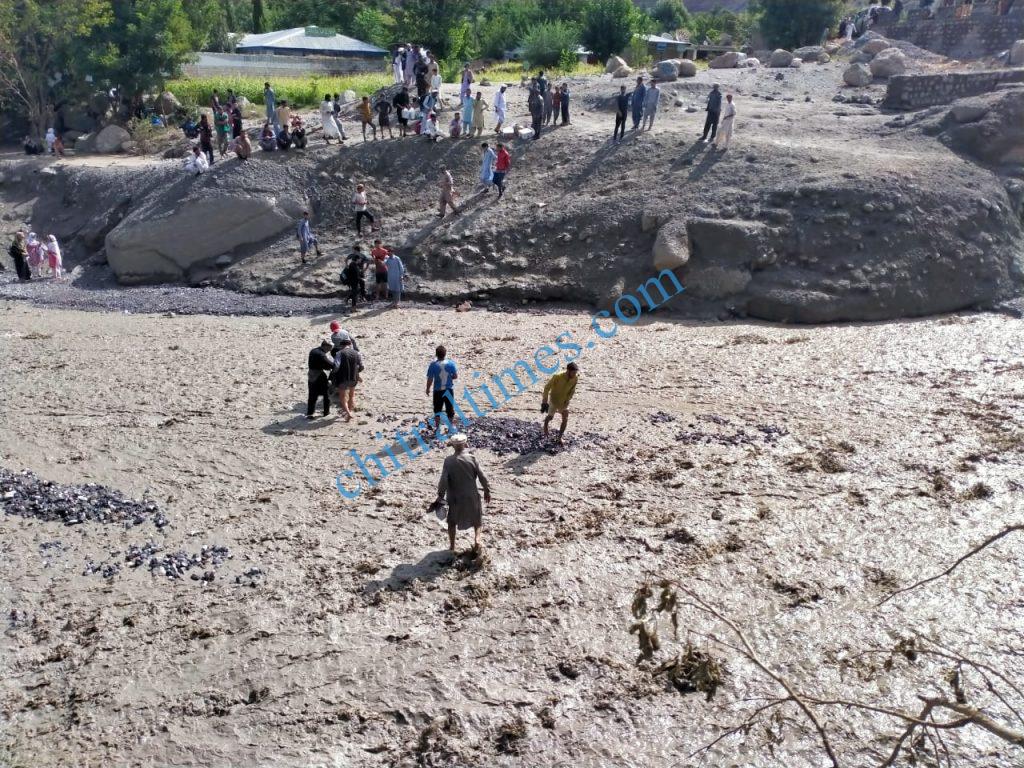 Reshun flood affectes protest upper chitral 14