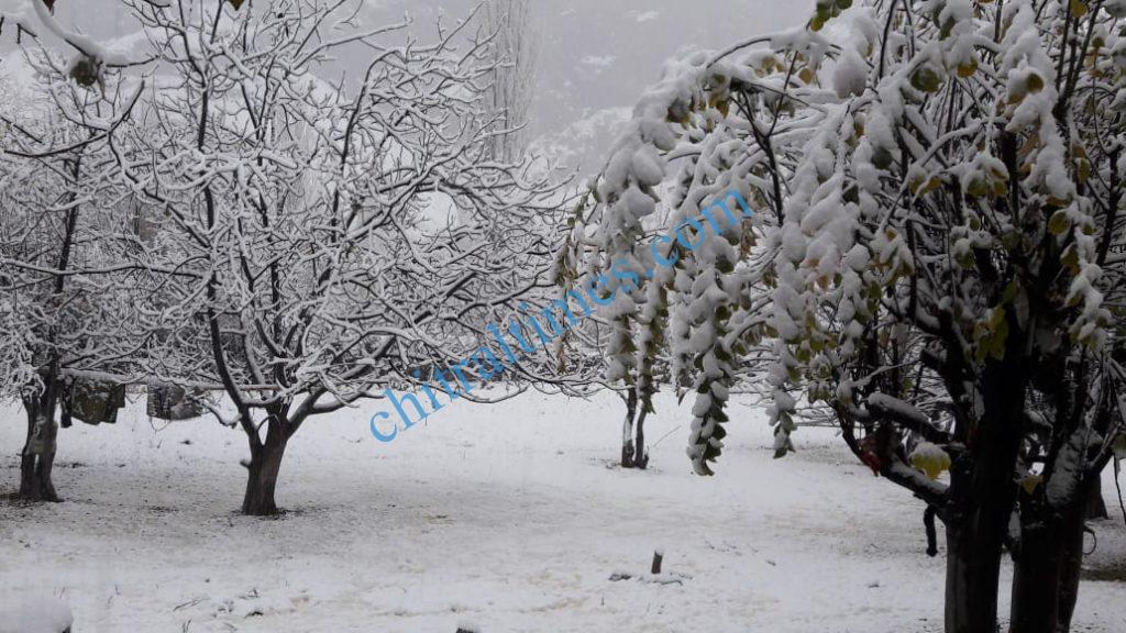 snow fall chitral3 scaled