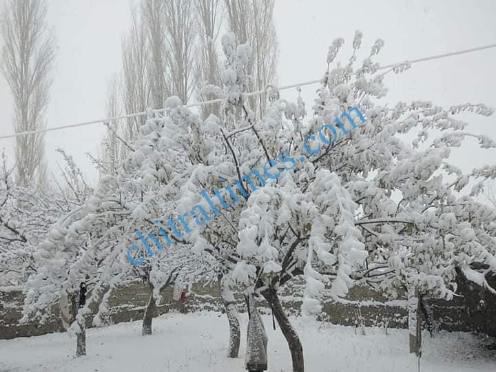 snow fall chitral4 1
