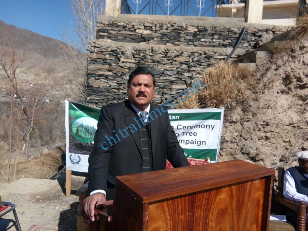 plantation campaign kicked off in chitral town